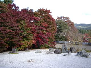 IMGP0187.jpg