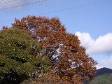 IMGP0190.jpg